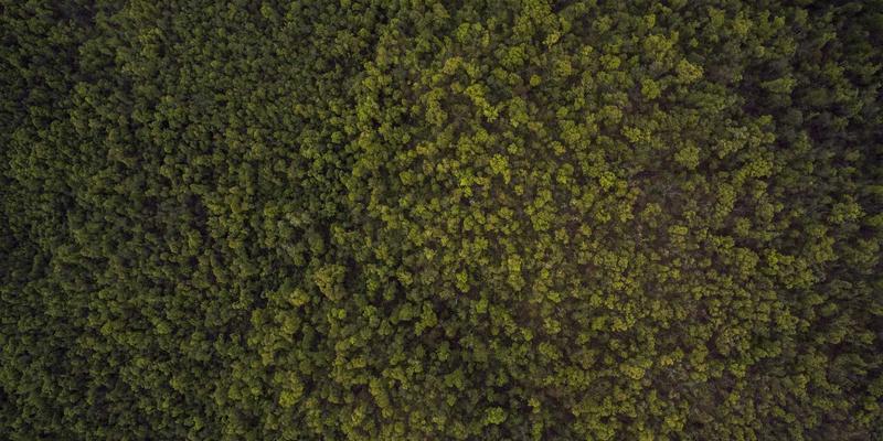 丰南事业单位公开招聘报考指南:抓住机遇,开启稳定职业生涯