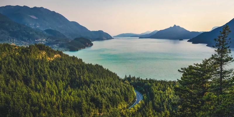 丰南现代农业崛起,三大黄金岗位急聘!农技员、电商销售、合作社管理人才看过来